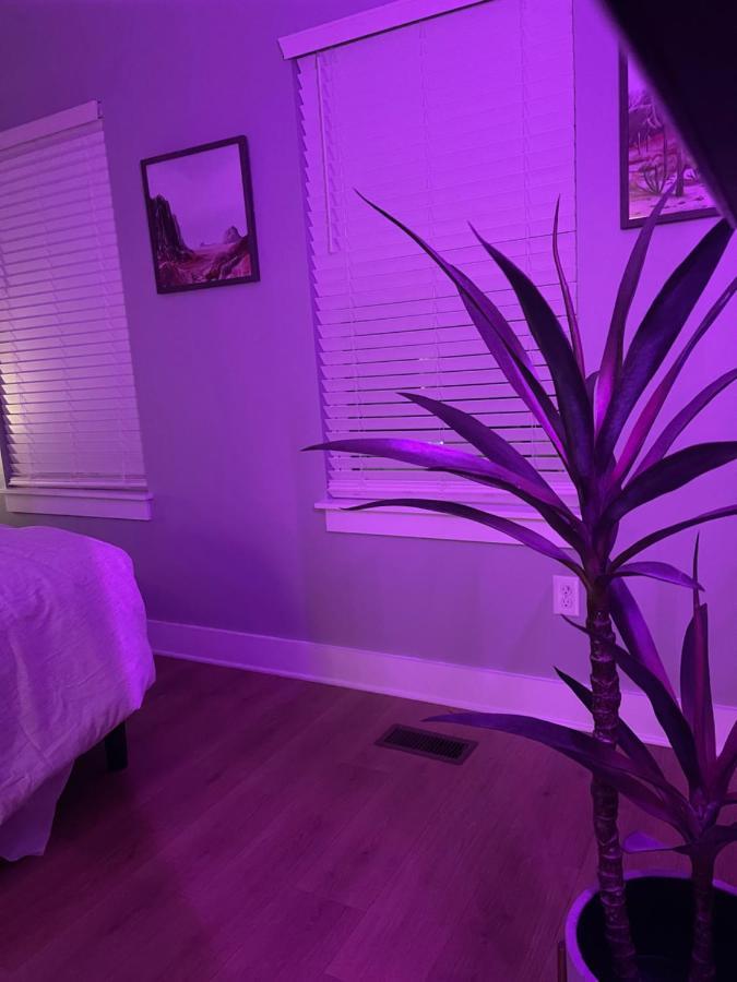 Classy, Cozy, Close To Downtown Nashville Luaran gambar